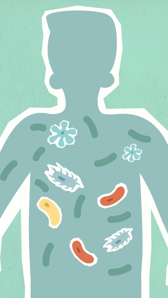 The Gut Microbiome 101 What It Is Why It Matters And How To Support