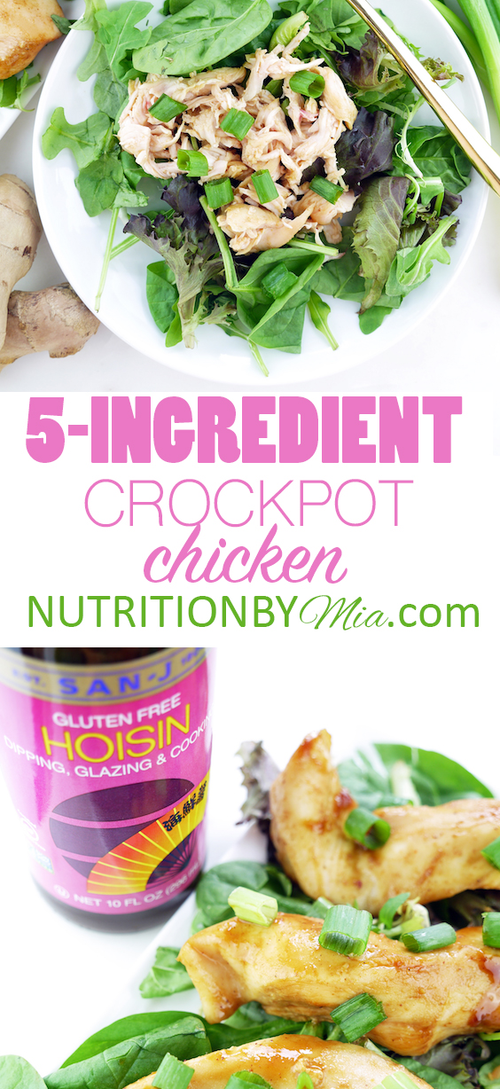 5 Ingredient Crockpot Chicken San-J Hoisin Sauce Gluten Free