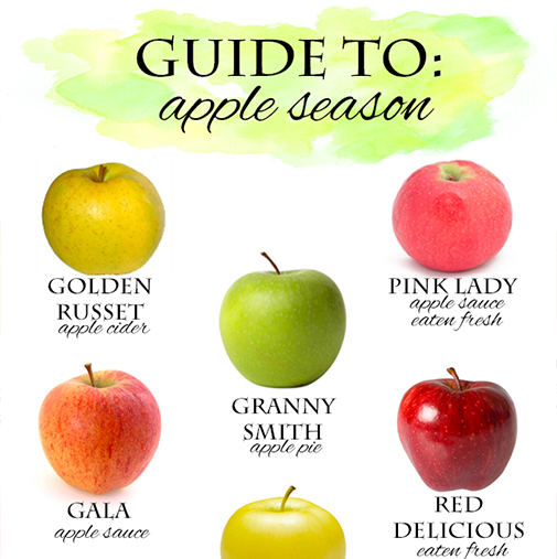 Guide to: Apple Season - Nutrition By Mia