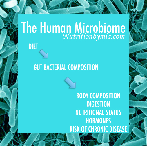 Diet and The Human Microbiome