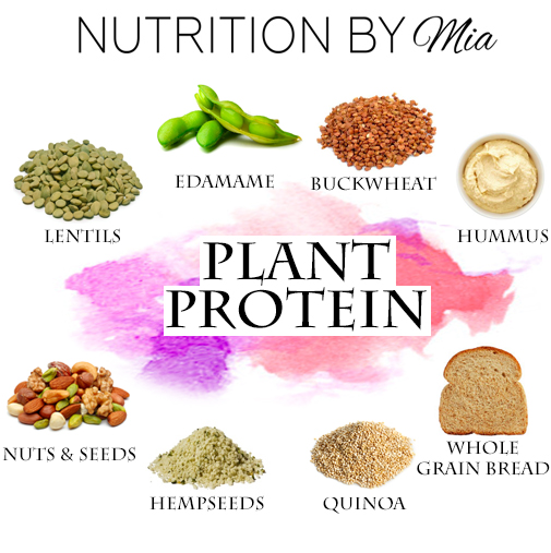 Sørge over Høre fra trekant Plant Protein - Nutrition By Mia